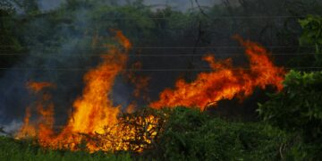 amazon fire tv stick interface