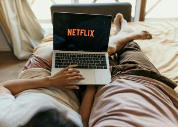 netflix viewing interface