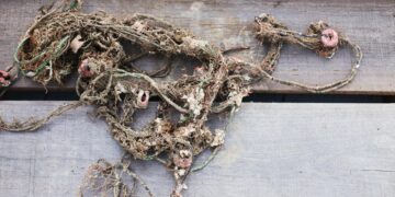 NYT Strands game grid