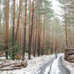 person logging off computer