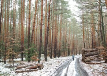 person logging off computer
